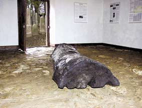 Ausstellung in der Totenhalle